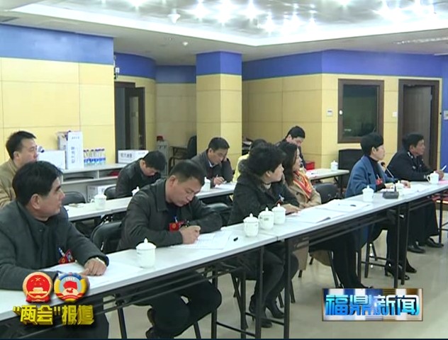 劉振輝參加太姥山、桐城、疊石、貫嶺、沙埕代表團審議《政府工作報告》