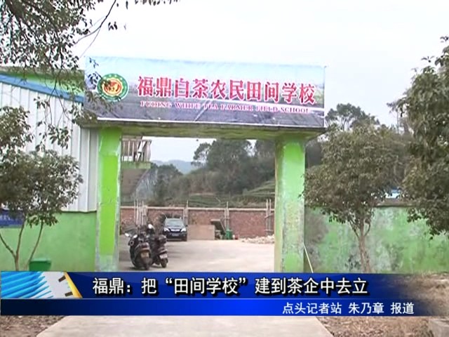 福鼎：把“田間學校”建到茶企中去