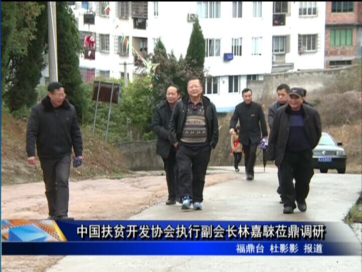 中國扶貧開發協會執行副會長林嘉騋蒞鼎調研