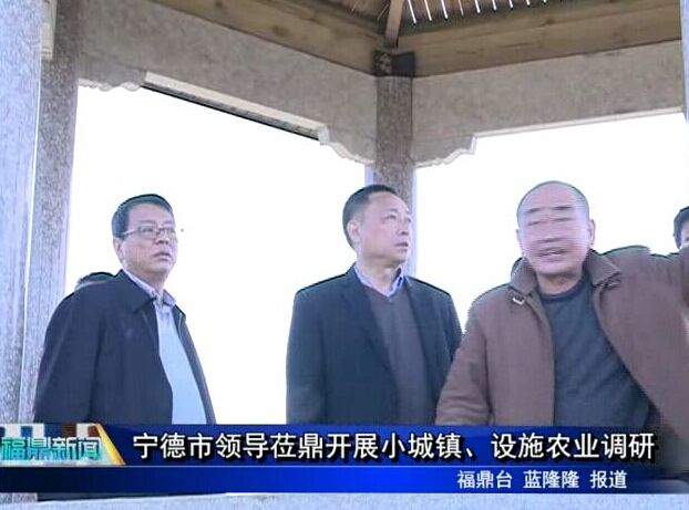 寧德市領導蒞鼎開展小城鎮、設施農業調研