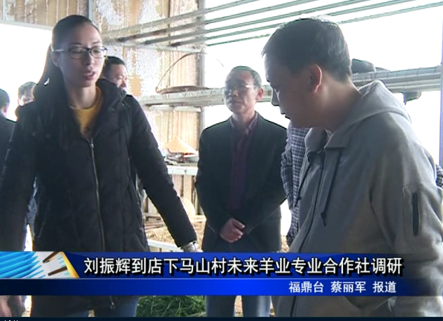 劉振輝到店下馬山村未來羊業專業合作社調研