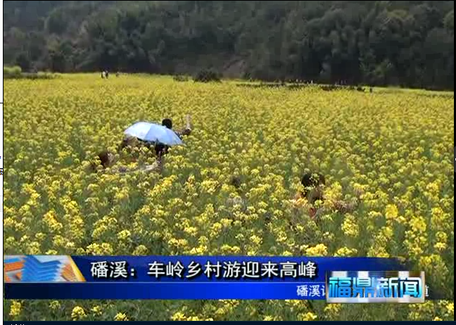 磻溪：車嶺鄉村游迎來高峰