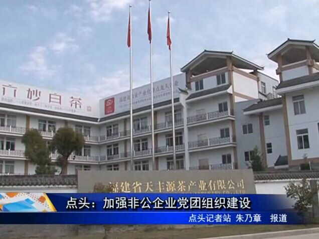 點頭：加強非公企業黨團組織建設