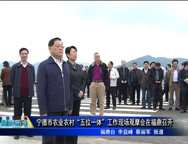寧德市農業農村“五位一體”工作現場觀摩會在福鼎召開