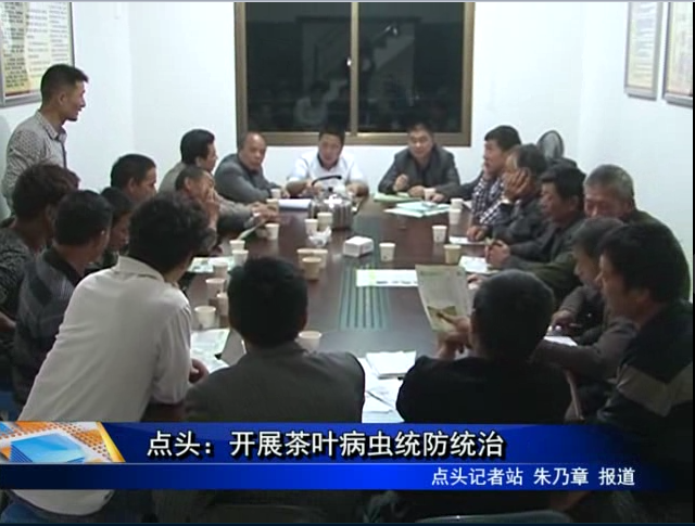 點頭：開展茶葉病蟲統防統治