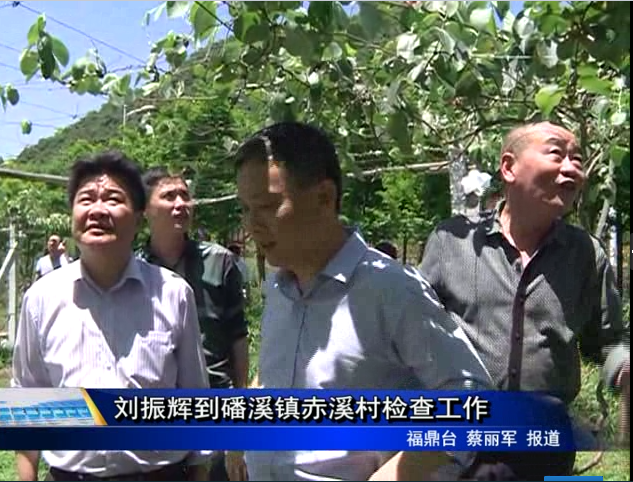 劉振輝到磻溪鎮赤溪村檢查工作