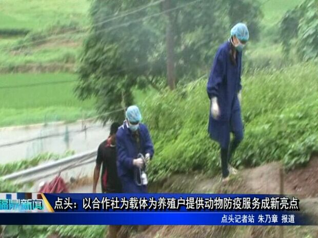 點頭：以合作社為載體為養殖戶提供動物防疫服務成新亮點