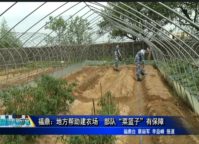 福鼎：地方幫助建農(nóng)場 部隊“菜籃子”有保障