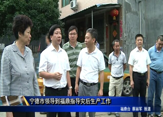 寧德市領導到福鼎指導災后生產工作