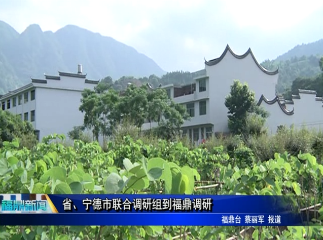 省、寧德市聯合調研組到福鼎調研