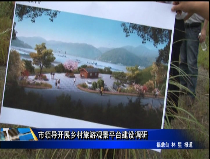 市領導開展鄉村旅游觀景平臺建設調研