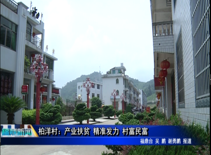 柏洋村：產業扶貧 精準發力 村富民富