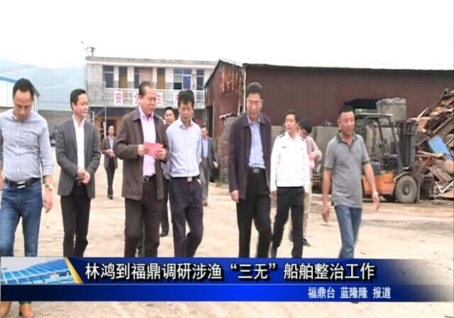 林鴻到福鼎調研涉漁“三無”船舶整治工作