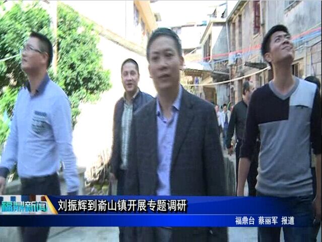 劉振輝到崳山鎮開展專題調研
