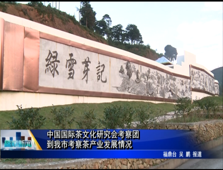中國國際茶文化研究會考察團到我市考察茶產業發展情況