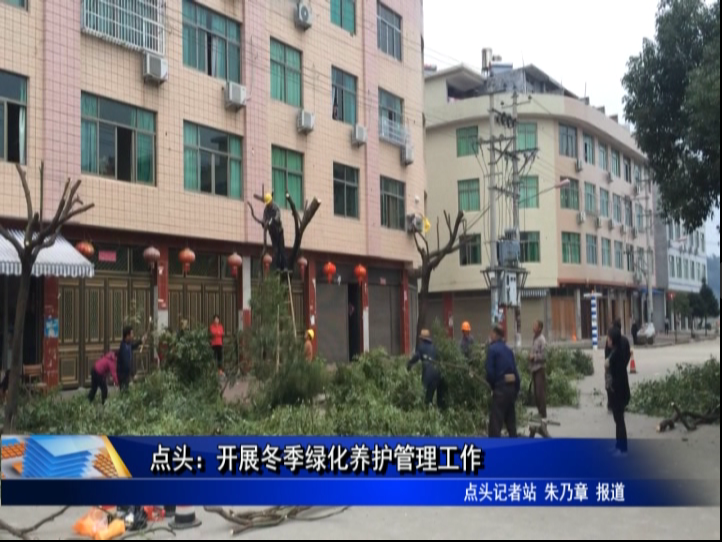 點(diǎn)頭：開展冬季綠化養(yǎng)護(hù)管理工作