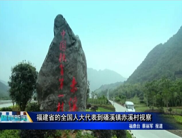 福建省的全國人大代表到磻溪鎮赤溪村視察