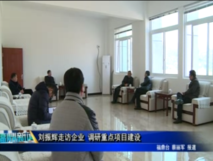 劉振輝走訪企業 調研重點項目建設