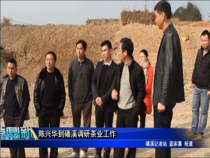 陳興華到磻溪調研茶業工作