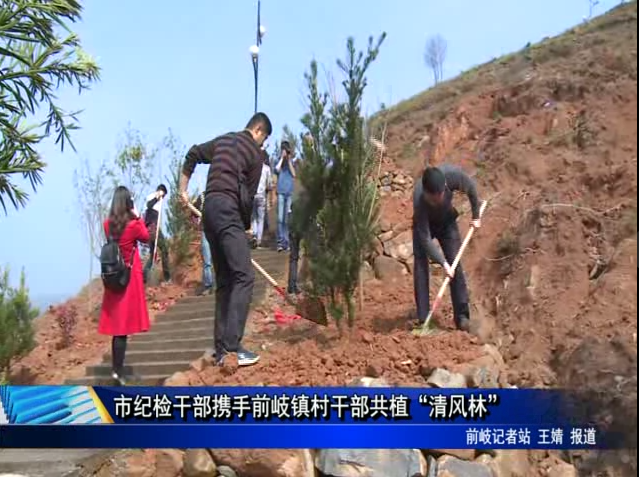 市紀檢干部攜手前岐鎮村干部共植“清風林”