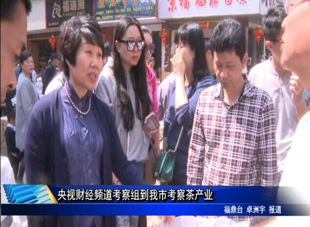 央視財(cái)經(jīng)頻道考察組到我市考察茶產(chǎn)業(yè)