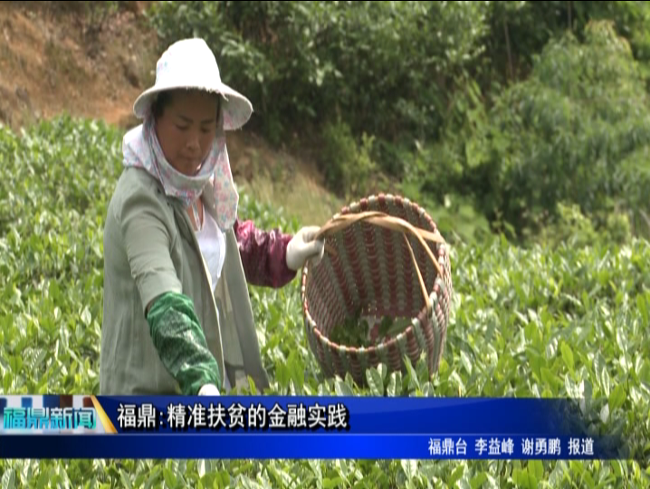 福鼎:精準扶貧的金融實踐