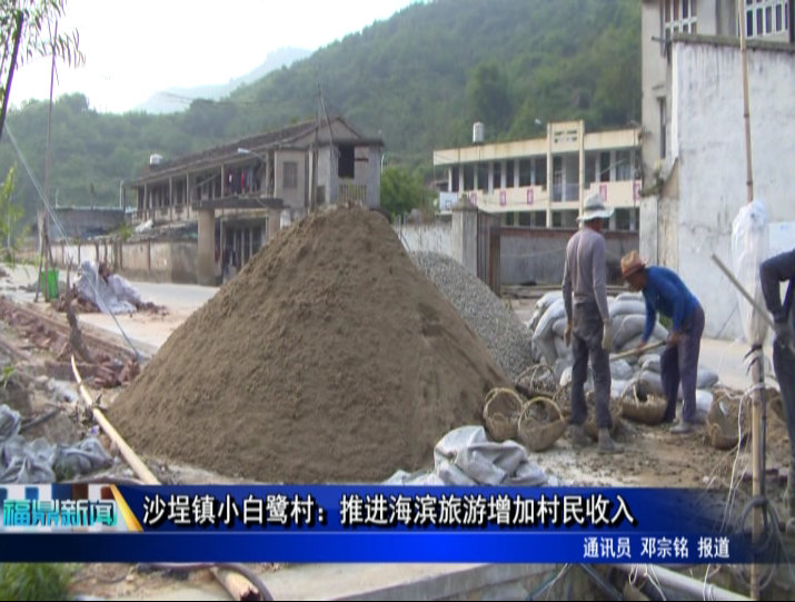 沙埕鎮小白鷺村：推進海濱旅游增加村民收入