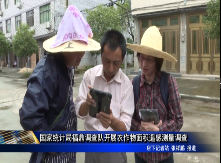 國家統計局福鼎調查隊開展農作物面積遙感測量調查