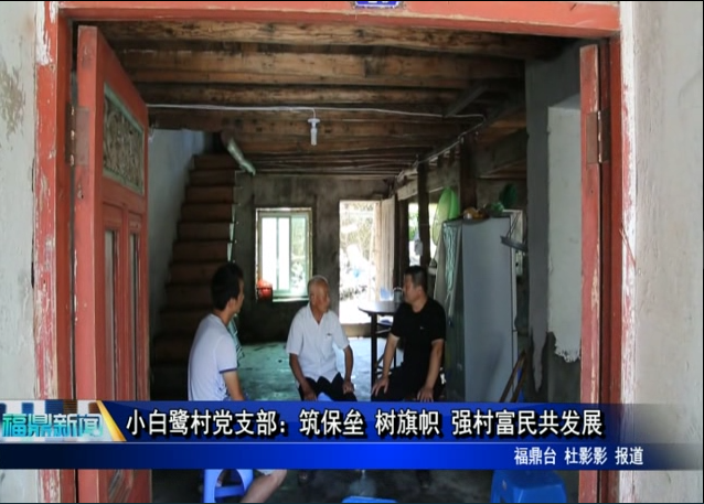 黨員爭先鋒欄目——小白鷺村黨支部：筑保壘 樹旗幟 強村富民共發展