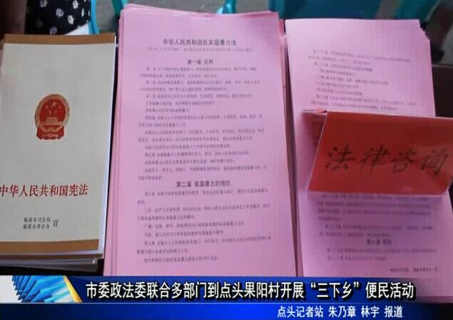 市委政法委聯合多部門到點頭果陽村開展“三下鄉”便民活動