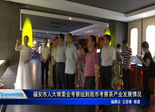 福安市人大常委會考察組到我市考察茶產業發展情況