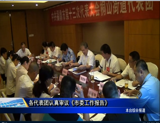 各代表團認真審議《市委工作報告》