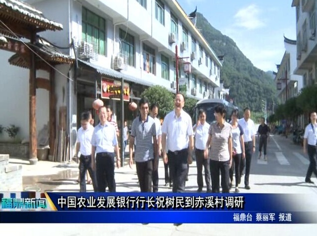 中國農(nóng)業(yè)發(fā)展銀行行長祝樹民到赤溪村調(diào)研