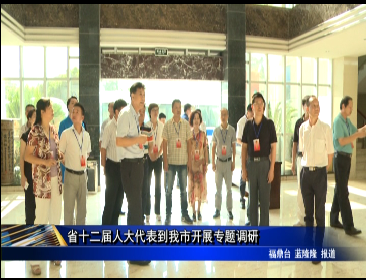 省十二屆人大代表到我市開展專題調研