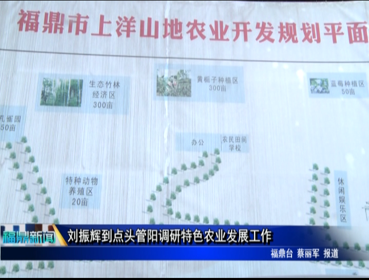 劉振輝到點頭管陽調研特色農業發展工作
