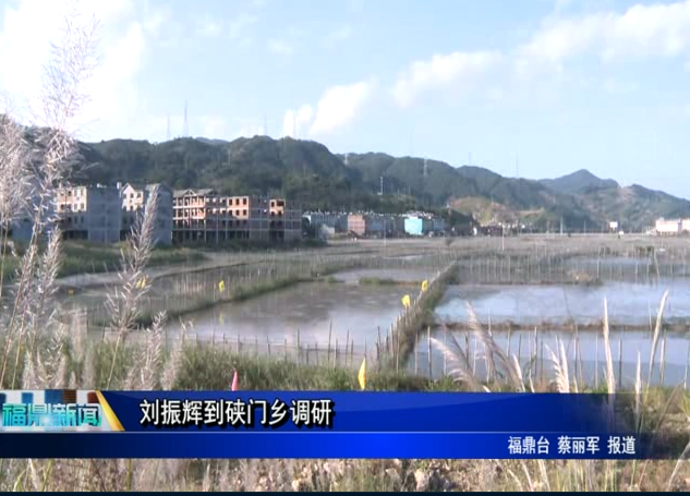 劉振輝到硤門鄉調研
