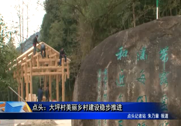 點頭：大坪村美麗鄉(xiāng)村建設(shè)穩(wěn)步推進