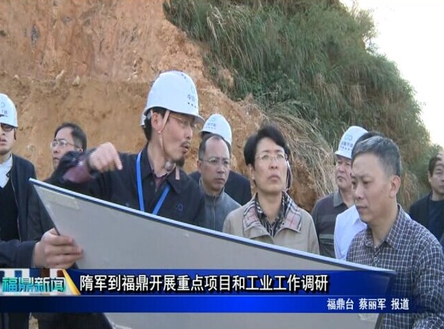 隋軍到福鼎開展重點項目和工業工作調研