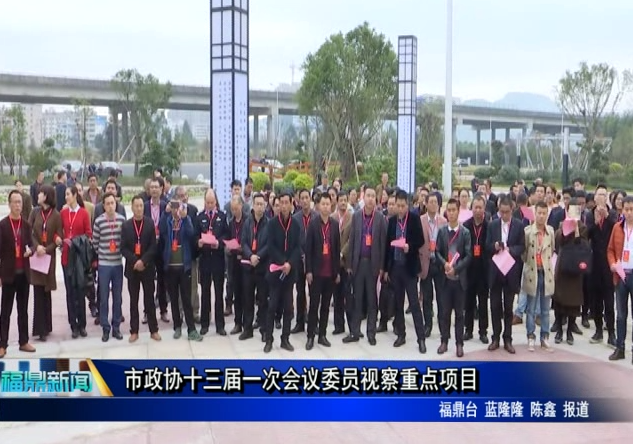 市政協開展十三屆一次會議委員視察重點項目