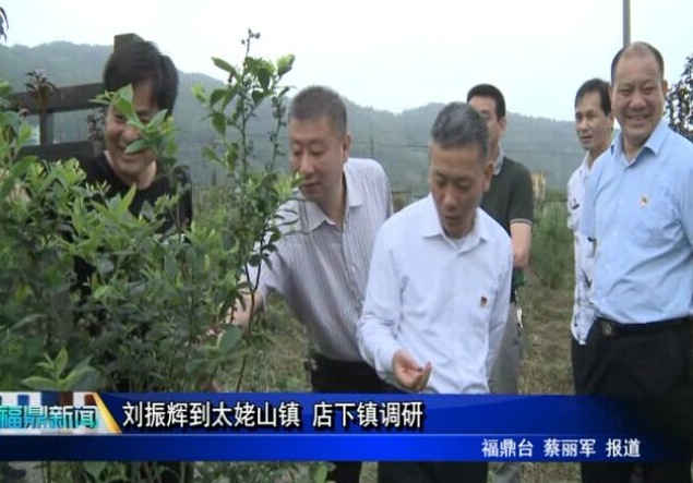 劉振輝到太姥山鎮 店下鎮調研