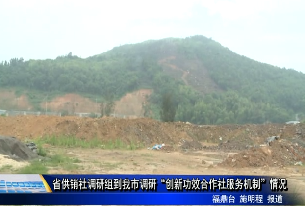 省供銷社調研組到我市調研“創新功效合作社服務機制”情況