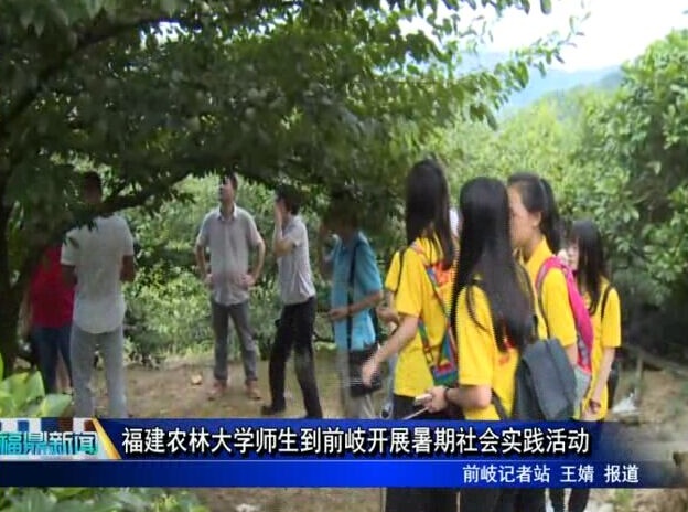 福建農林大學師生到前岐開展暑期社會實踐活動