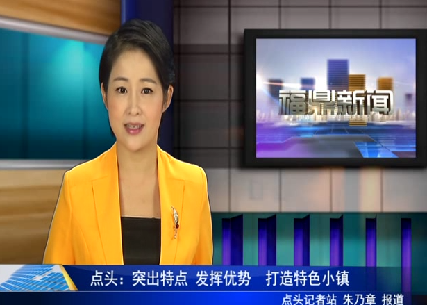 點頭：突出特點 發揮優勢 打造特色小鎮