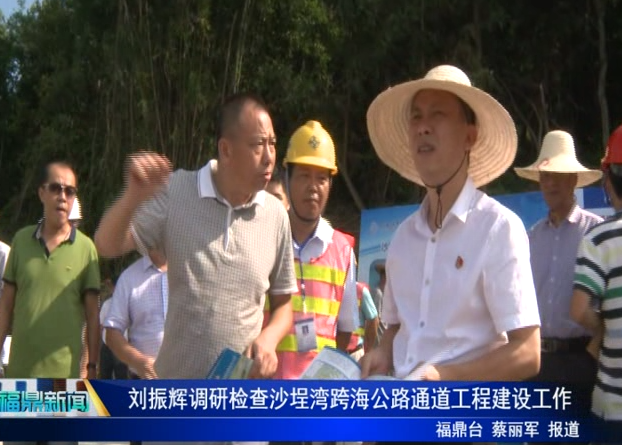 劉振輝調研檢查沙埕灣跨海公路通道工程建設工作