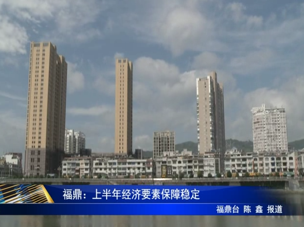福鼎：上半年經濟要素保障穩定