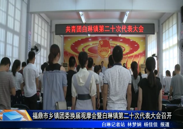 福鼎市鄉鎮團委換屆觀摩會暨白琳鎮第二十次代表大會召開