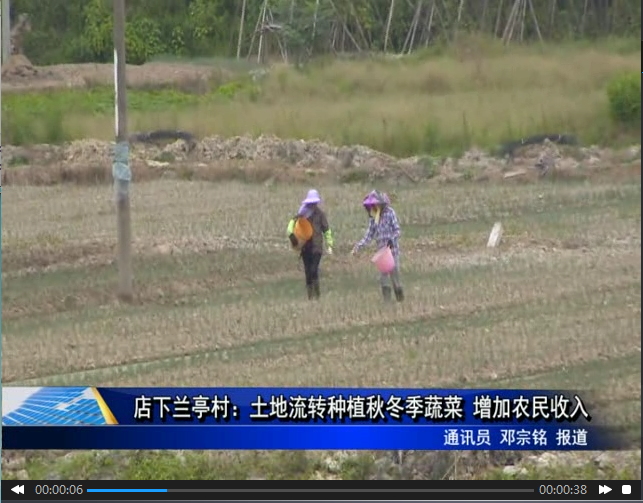 店下蘭亭村：土地流轉種植秋冬季蔬菜 增加農民收入
