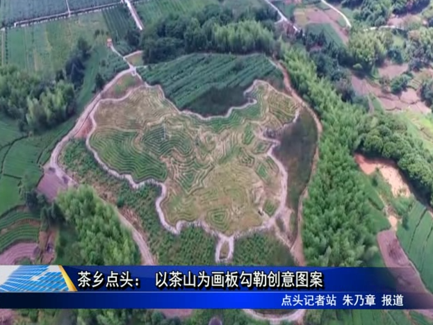 茶鄉點頭： 以茶山為畫板勾勒創意圖案