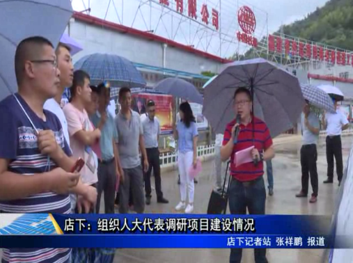 店下：組織人大代表調研項目建設情況