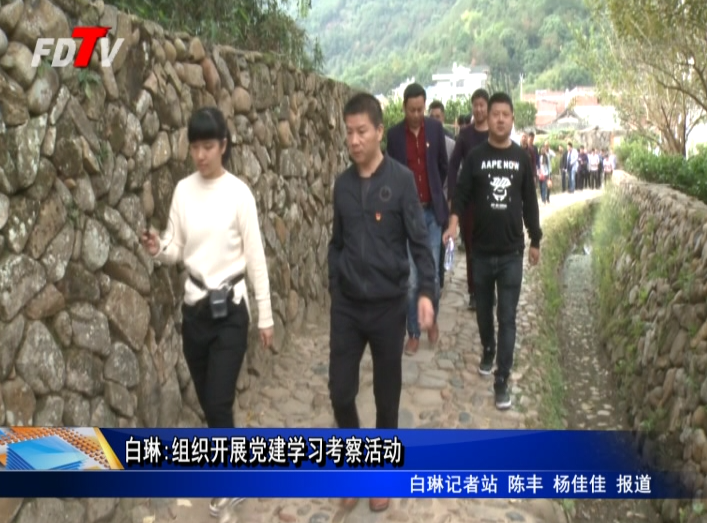 白琳:組織開展黨建學(xué)習(xí)考察活動